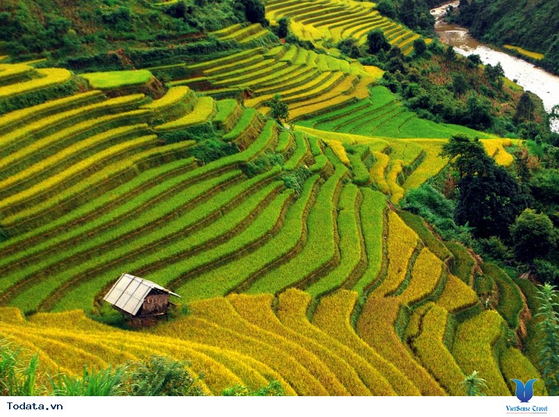 7 địa điểm phải đến khi du lịch Mù Cang Chải mùa lúa chín